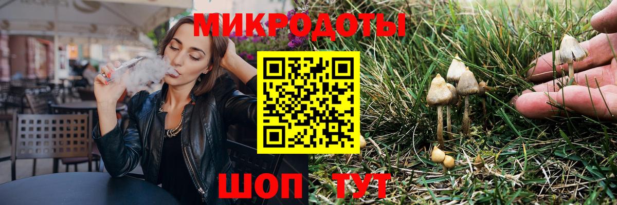 А ПВП Нововоронеж