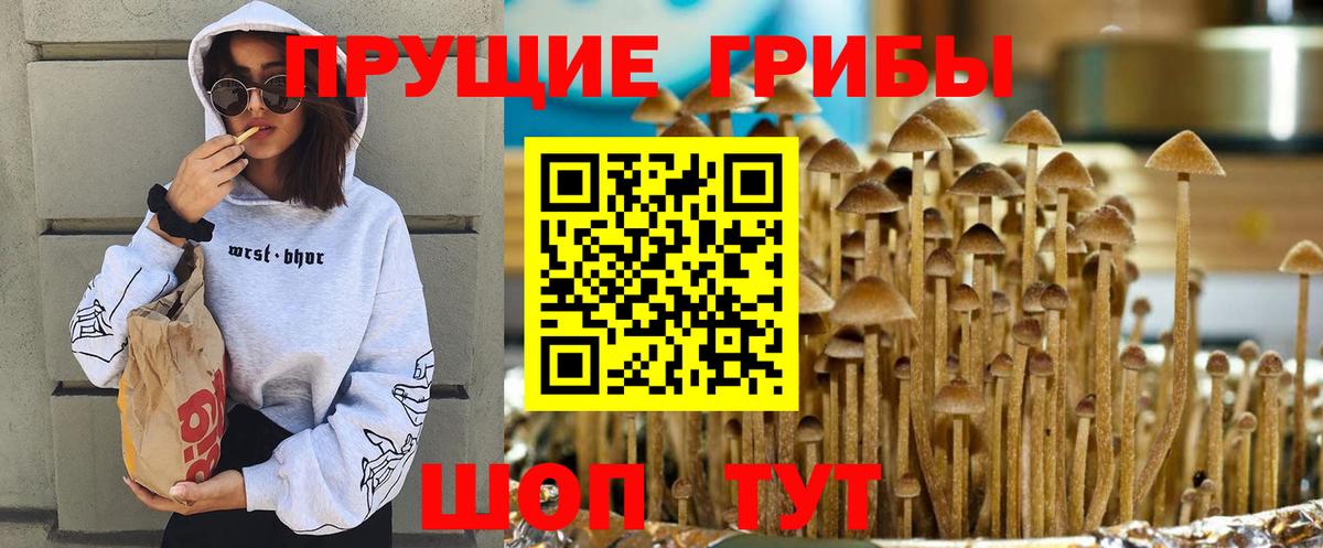 Псилоцибиновые грибы мухоморы  Вход с VPN  Нововоронеж 