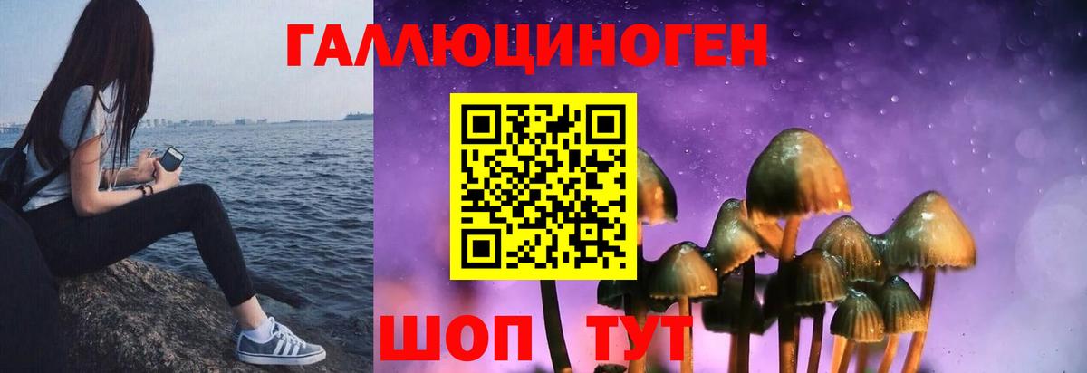 Псилоцибиновые грибы прущие грибы Нововоронеж