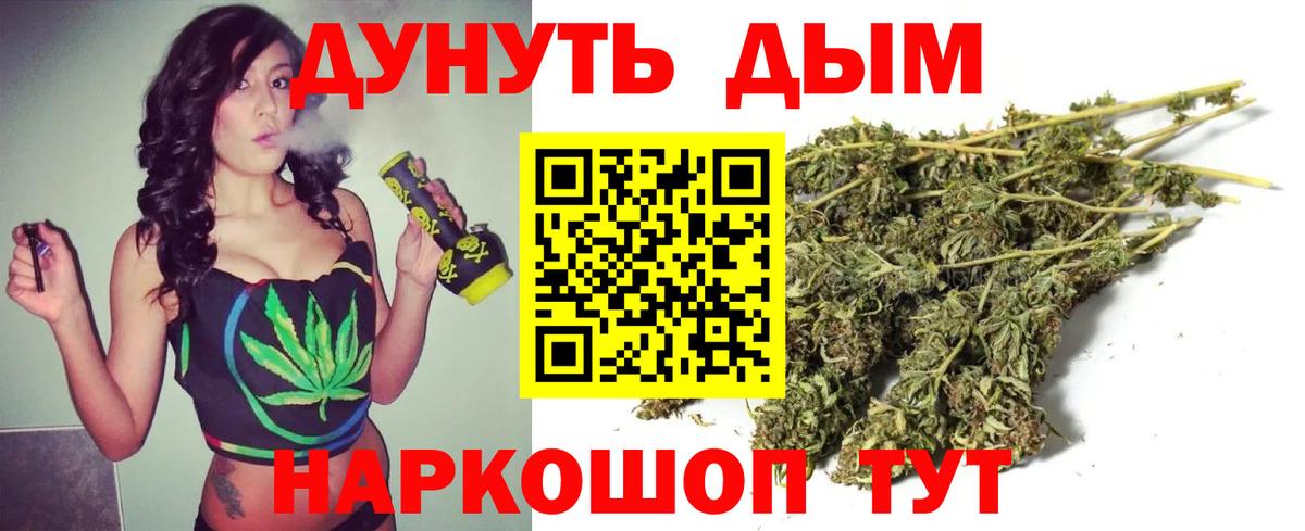 Конопля марихуана Нововоронеж